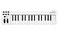 MIDIPLUS AKM320L MIDI Keyboard Controller white 32key