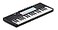 Novation Launchkey Mini 37 MK4 Portable 37 MiniKey USB MIDI Keyboard Controller with DAW Integration Chord Mode Scale Mode Drum Pads and Arpeggiator Includes Music Creation Software Bundle