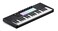 Novation Launchkey Mini 37 MK4 Portable 37 MiniKey USB MIDI Keyboard Controller with DAW Integration Chord Mode Scale Mode Drum Pads and Arpeggiator Includes Music Creation Software Bundle