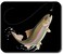 Art Plates Thick Neoprene Mouse Pad with HighResolution Leaping Rainbow Trout Print Smooth Black Polyester Surface 925 x 775 inches Works with Optical or Ball Mouse Made in USA