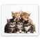 Smooffly Cats Mouse pad for Computers Kittens Family Cats Mouse Pad