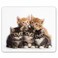 Smooffly Cats Mouse pad for Computers Kittens Family Cats Mouse Pad