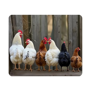 Nicokee Gaming Mouse Pad Chicken Family Sitting in a Line on Roost NonSlip Rubber Mouse Pad for Computers Laptop Office Home Rectangle Personalized Mousepad 95 Inch x 79 Inch