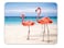 Qien BaiSei Flamingos Walking on The Beach Mouse padNonSlip Rubber MousepadApplies to GamesHome SchoolOffice Mouse pad