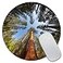 Amcove Gaming Round Mouse Pad Custom Giant Sequoia Trees Mouse pad Round Mousepad Yosemite National park Mouse pad Office Supplies Present for Friend Desk Accessories