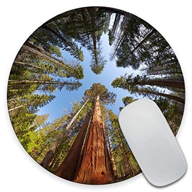 Amcove Gaming Round Mouse Pad Custom Giant Sequoia Trees Mouse pad Round Mousepad Yosemite National park Mouse pad Office Supplies Present for Friend Desk Accessories