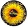 IMAYONDIA Round Mouse Pad Sunflower and Butterfly Mouse Pad Yellow Flower Mouse Mat Inspirational Quote Be Happy Mousepad NonSlip Rubber Base MousePads for Office Laptop Computer 79 x 79 Inch