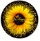 IMAYONDIA Round Mouse Pad Sunflower and Butterfly Mouse Pad Yellow Flower Mouse Mat Inspirational Quote Be Happy Mousepad NonSlip Rubber Base MousePads for Office Laptop Computer 79 x 79 Inch