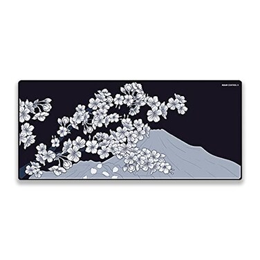 X-Ray X-Raypad XRaypad Aqua Control 2 Gaming Mouse Pad UltraHigh Precision Mouse Pad with Perfect Speed and Control Capability Consistent X and Y Glide Designed for Fps Players with Low DPI Requiremen