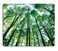 pingpi Landscapes Green Trees Mouse padTrees Nature Green Wood Personalized Design NonSlip Rubber Mousepad