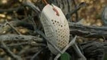 FinalMouse Ultralight 2 Cape Town