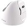 Evoluent Inventor of The Vertical Mouse VM4RB Ergonomic Vertical Mouse White Bluetooth for Mac Right Hand Med to Large Sculpted for Comfort Reduces Wrist Strain 4 Speeds PlugNPlay