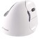 Evoluent Inventor of The Vertical Mouse VM4RB Ergonomic Vertical Mouse White Bluetooth for Mac Right Hand Med to Large Sculpted for Comfort Reduces Wrist Strain 4 Speeds PlugNPlay