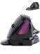 SHARE SUNSHINE Wireless Mouse Large Angle Adjustable Ergonomic Vertical Upright Carpal Tunnel Ergo Right Hand 6 buttons USB Optical Mice for PC Laptop Computer Gift3600 DPIRemovable Palm RestRGB Light
