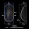 BenQ Zowie ZA13DW 4K Wireless Mouse for Esports Sports Science 4K Enhanced Receiver 65g Symmetrical Driverless 3950 Sensor 4K Polling Rate