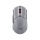 HyperX Pulsefire Haste 2 Pro 4K Wireless Gaming Mouse for PC 4k Polling Rechargeable 90 Hour Battery Lightweight 61g 26K Sensor 24GHz Bluetooth Slate Grey