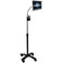 CTA Digital Gooseneck Floor Stand CTA Compact Security Gooseneck Floor Stand for Tablets with Lock and Key Security System for iPad 7th 8th 9th Gen 102 iPad Pro 129 and Surface Pro 4 PADSCGS