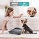 litokam Indoor Cameras for Home Security with Night Vision Pet Camera with Phone App WiFi Home Security Camara Baby Monitor Compatible with Alexa Motion Detection 2Way Audio 2 Pack 1080P
