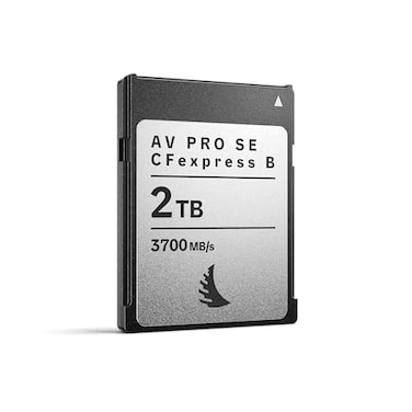 Angelbird AV PRO SE CFexpress B v4 2 TB CFexpress 40 Type B Memory Card Largest Capacity and Ultra HighSpeed up to 12 K RAW Video and Photo