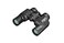 Pentax AP 8x30 WP Binoculars Black