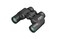 Pentax AP 8x30 WP Binoculars Black