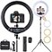 EOTO LIGHT 21 inch LED Ring Light with Tripod Stand Large Selfie Ring Light with Touch Panel for YouTube Vlog Video Shooting Makeup Studio Portrait with Carrying Bag and Remote Controller CRI97
