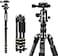 ZOMEi Camera Tripod 62 Light Weight DSLR Tripod with Ball Head Quick Release Plate and Carrying Case Aluminum Tripod