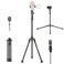 SmallRig Phone Tripod with Remote 67 Tripod for Camera ReverseFolding Universal Tripod Stand for Pivo Auto Tracking Holder and Light for Video Vlog Selfie and Live Stream Encore PT30 4363