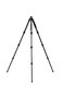 Benro Mach3 Long Carbon Fiber Tripod Professional 3Section HeavyDuty Tripod with Twist Locks Magnesium Castings Interchangeable Feet Carry Case for DSLR Mirrorless Video Cameras TMA38CL