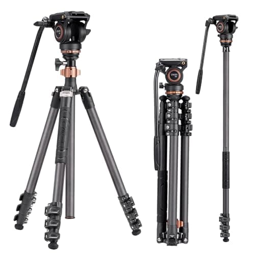cayer Cayer CF2451 Carbon Fiber Tripod Kit