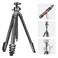 NEEWER LITETRIP LT38 61 Travel Tripod Carbon Fiber for Camera 360 Pan Tilt Low Profile Ball Head Flexible Center Axis Arca QR Plate Compatible with PD Max Load 22lb
