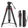 NEEWER 76 Video Camera Tripod with Fluid Head One Step Quick Release Portable Tripod Aluminum Heavy Duty Tripod Stand Dual Mode QR Plate for DSLR Cameras Camcorders Max Load 176lb LL27