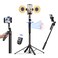 DMYWB Auto Face Tracking Tripod for iPhone with Light No APP Needed 709 Phone Camera Tripod Stand 360 Rotation Selfie Stick Follows Your Movement with Remote for Content Creator Vlog Live Stream