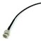 AV-Cables AVCables 3G6G HD SDI Mini RG59 BNC Cable Belden 1855a 35ft Black