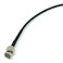 AV-Cables AVCables 3G6G HD SDI Mini RG59 BNC Cable Belden 1855a 50ft Black