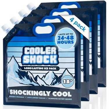 Cooler Shock Reusable Ice Packs for Cooler LongLasting Freezer Packs with Builtin Handle AllPurpose Medium Size Pack of 4