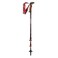 Leki Corklite Trekking Pole