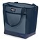 Igloo MaxCold Soft Coolers Insulated Soft Sided Cooler Bag Foldable Reusable Leak Proof Food Grocery Bag Portable Travel Cooler