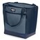 Igloo MaxCold Soft Coolers Insulated Soft Sided Cooler Bag Foldable Reusable Leak Proof Food Grocery Bag Portable Travel Cooler