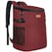 Vankor Camping Cooler Backpack 30 Cans Soft Backpack Coolers Insulated Leak Proof Travel Cooler Bag Waterproof Lunch Picnic Beach Work Trip Thermal Bag Drink Beverage Beer Bag Cooler Wine