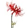 Qingriver 4 Stems 2638 Artificial Spider Lily Flowers Lycoris Radiata for Home Garden Decoration Red
