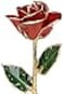 Living Gold Red 24k Gold Rose Real Rose Dipped in Gold 12 1 pc