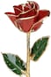 Living Gold Red 24k Gold Rose Real Rose Dipped in Gold 12 1 pc