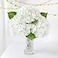 ZYTUYO 3 PCS White Hydrangea Real Touch Artificial Flowers 21 Latex Large Hydrangea with Long Stems for Wedding Table Centerpieces Indoor Kitchen Spring Home Decor Outdoor Porch
