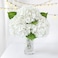 ZYTUYO 3 PCS White Hydrangea Real Touch Artificial Flowers 21 Latex Large Hydrangea with Long Stems for Wedding Table Centerpieces Indoor Kitchen Spring Home Decor Outdoor Porch