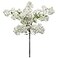 Larksilk 3Pack 30 White Cherry Blossom Branches Artificial Sakura Stems for Tall Vases Wedding Arches Spring Centerpieces RealTouch Faux Japanese Blossoms for Home Decor