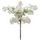 Larksilk 3Pack 30 White Cherry Blossom Branches Artificial Sakura Stems for Tall Vases Wedding Arches Spring Centerpieces RealTouch Faux Japanese Blossoms for Home Decor
