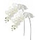 Htmeing 2pcs Real Touch Orchids Stems Artificial Flowers Fake Phalaenopsis Orchid for Table Centerpiece Home Kitchen Wedding Party Decoration white
