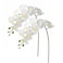 Htmeing 2pcs Real Touch Orchids Stems Artificial Flowers Fake Phalaenopsis Orchid for Table Centerpiece Home Kitchen Wedding Party Decoration white