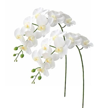 Htmeing 2pcs Real Touch Orchids Stems Artificial Flowers Fake Phalaenopsis Orchid for Table Centerpiece Home Kitchen Wedding Party Decoration white